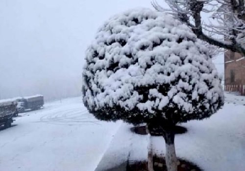 कश्मीर के ऊंचाई वाले इलाकों में बर्फबारी, पंजाब-हरियाना में बारिश की संभावना