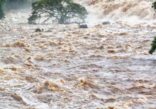 बिहार में भारी बारिश, कोसी सहित कई नदियों का जलस्तर उफान पर