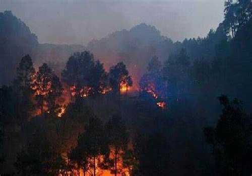 उत्तराखण्ड सहित कई राज्यों के जंगलों में आग की बढ़ती घटनाएँ