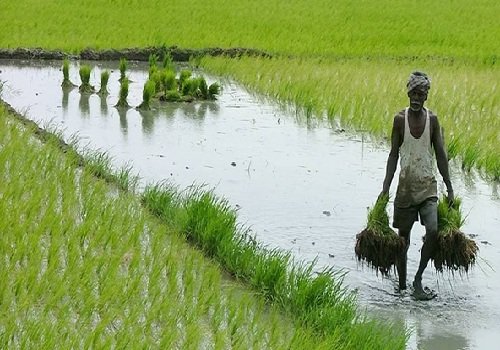 कृषि निवेश पोर्टल : भारतीय खेती के आधुनिकीकरण का नया अध्याय