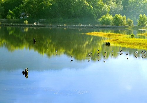 विश्व आर्द्र भूमि दिवस 2 फरवरी/ जैव विविधता की समृद्धि का आधार है आर्द्रभूमि