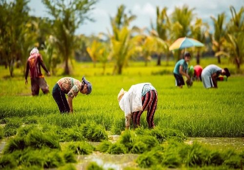 दुनिया से सीख कर हम भी बदल सकते हैं देश में किसान और मजदूर के हालात